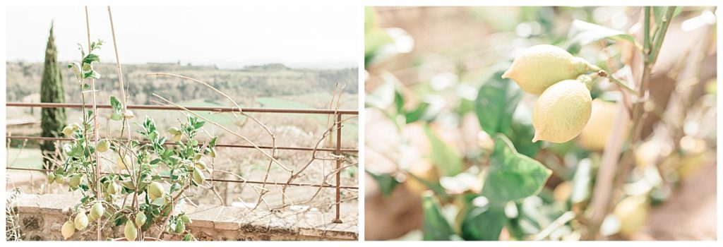 Borgo Petrognano Wedding - Tuscany Italy Destination Wedding Photographer - Sam Areman Photo